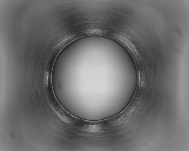 X0000112370157200908271325