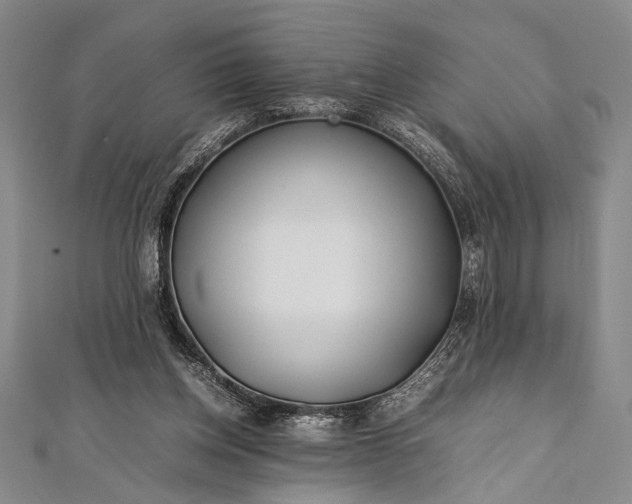 X0000112370158200908271326