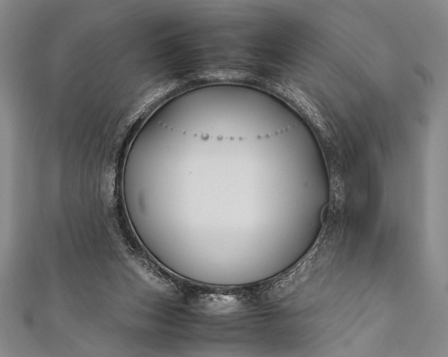 X0000112370159200908271326