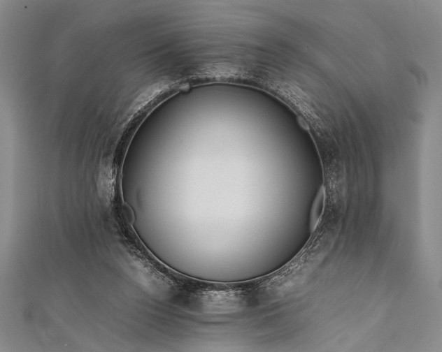 X0000112370160200908271326