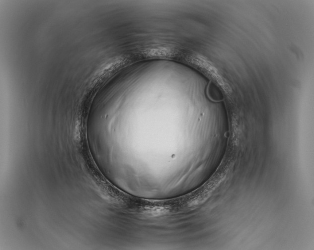 X0000112370161200908271326