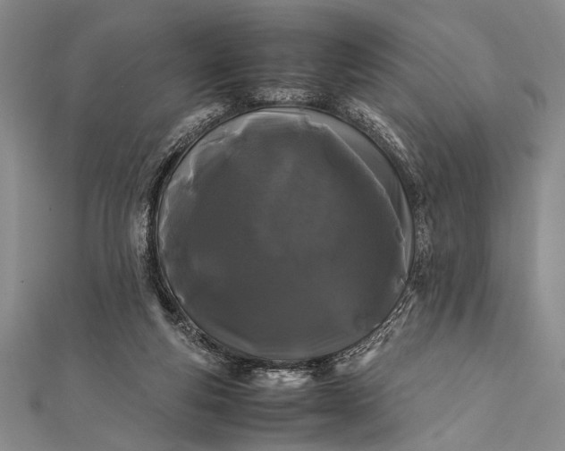 X0000112370163200908271326