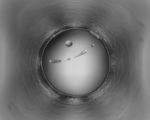 X0000112370164200908271326