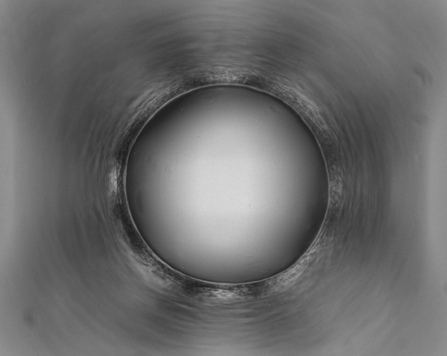 X0000112370166200908271326