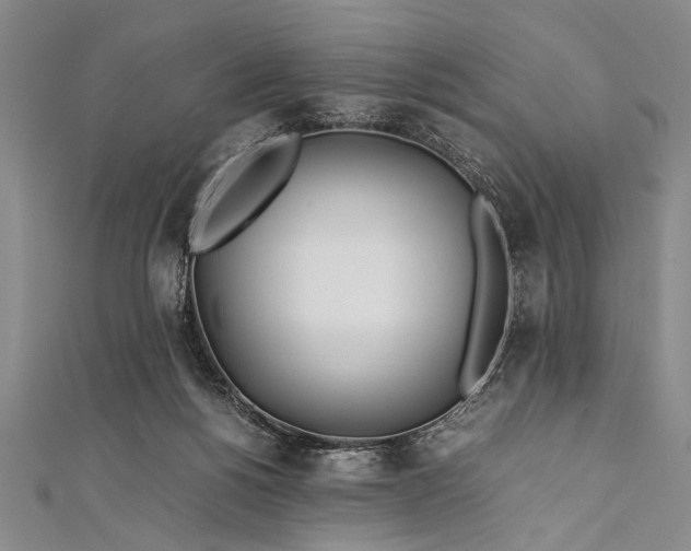 X0000112370168200908271326