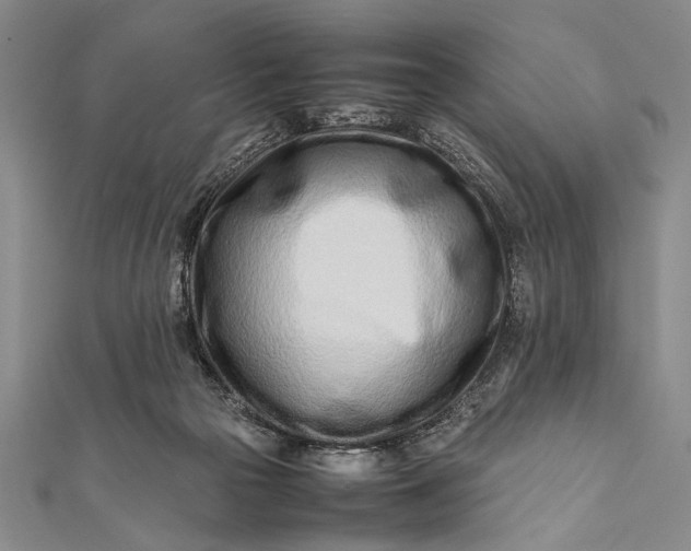 X0000112370169200908271326