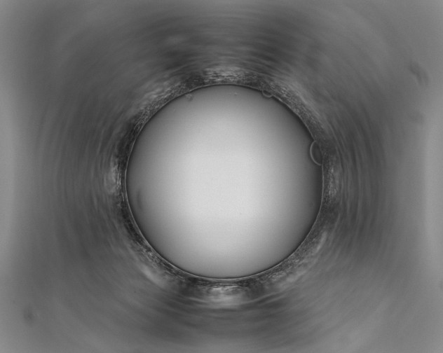 X0000112370173200908271326