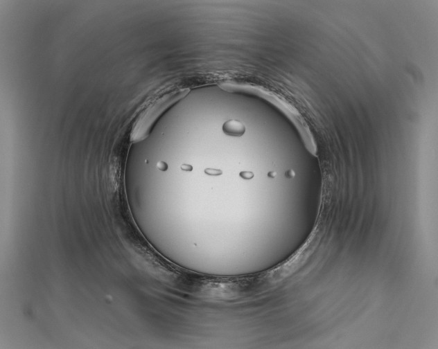 X0000112370174200908271326