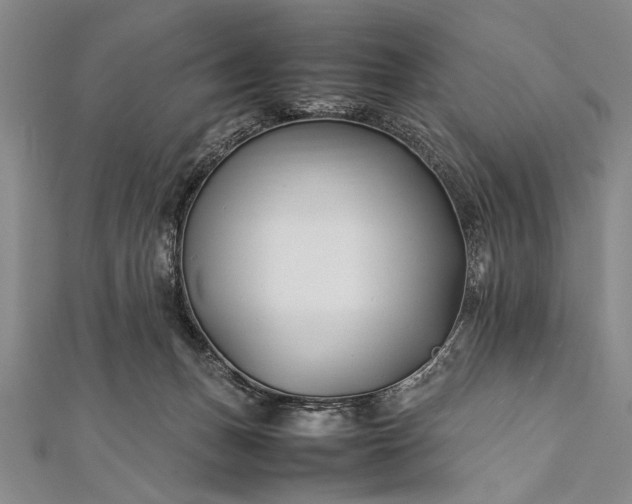 X0000112370175200908271326