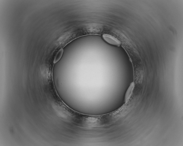 X0000112370176200908271326