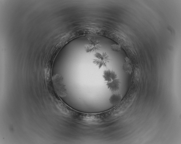 X0000112370177200908271326