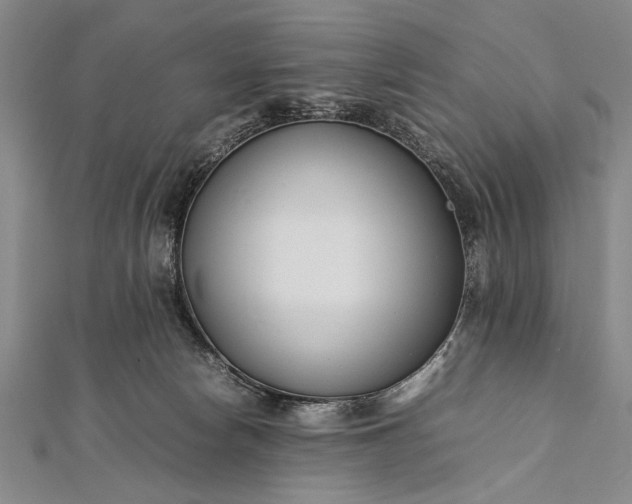 X0000112370178200908271326