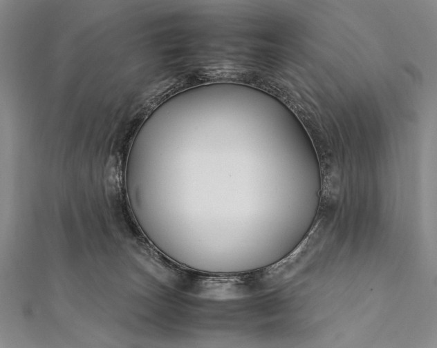 X0000112370179200908271326