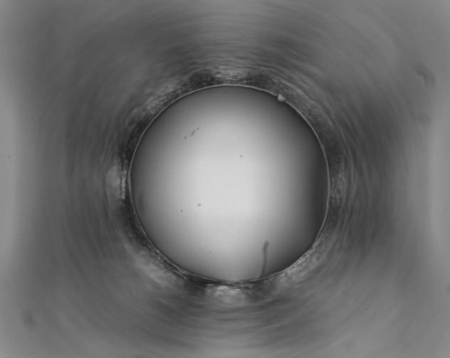 X0000112370180200908271326