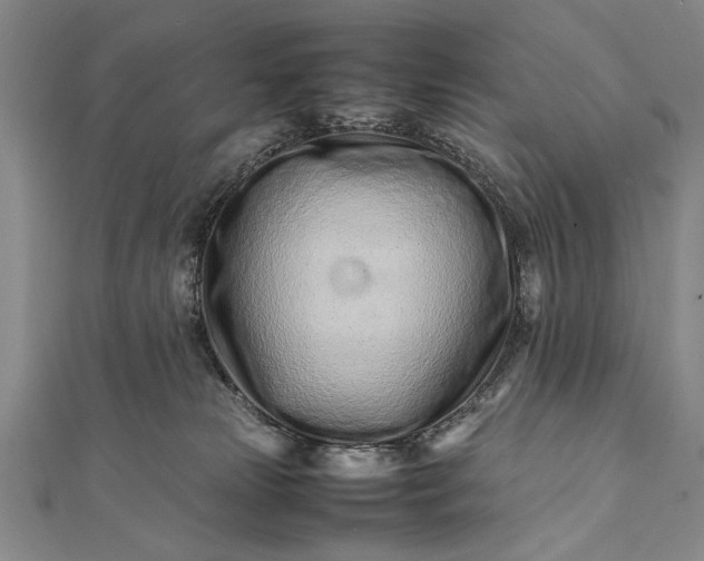 X0000112370181200908271326