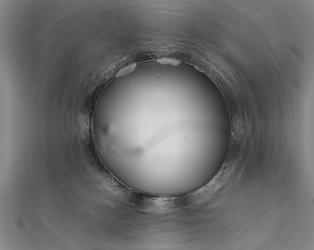 X0000112370184200908271326