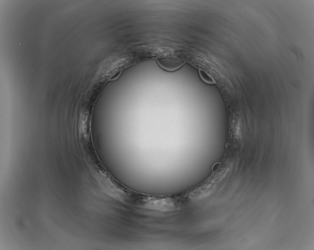 X0000112370185200908271326