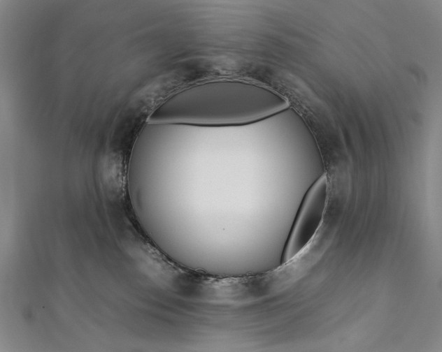 X0000112370186200908271326