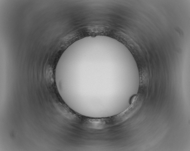 X0000112370187200908271326