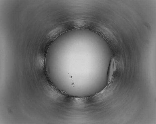 X0000112370188200908271326