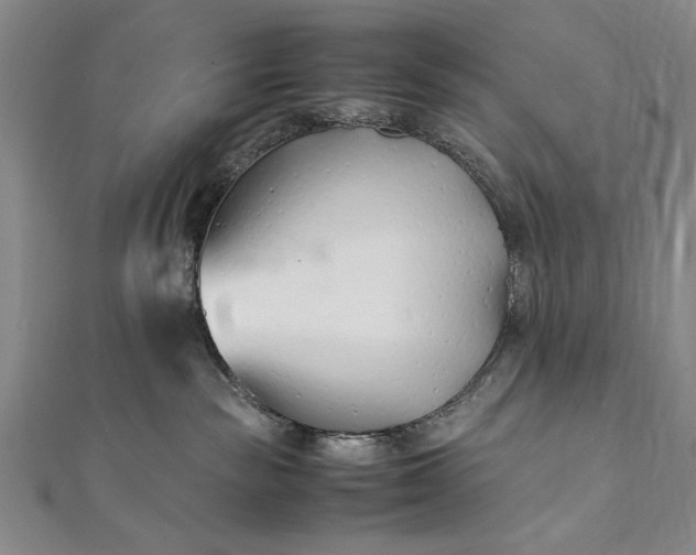 X0000112370189200908271326