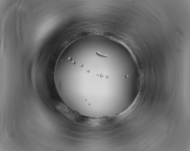 X0000112370190200908271326