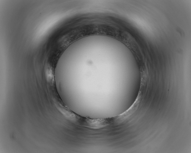 X0000112370191200908271326