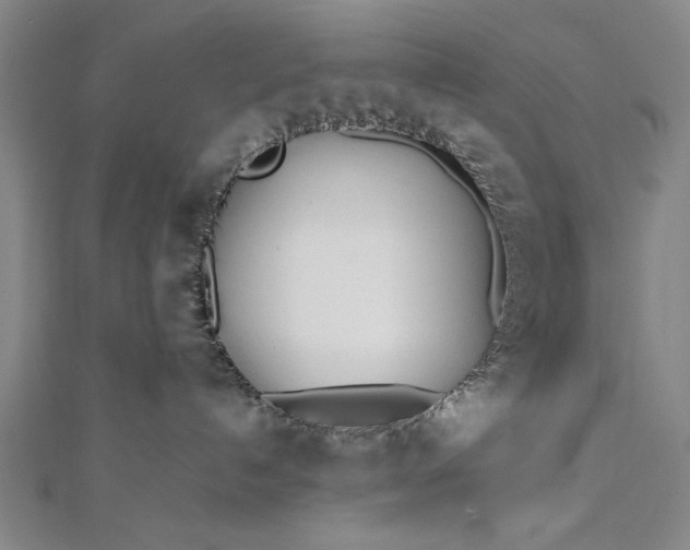 X0000112370192200908271326