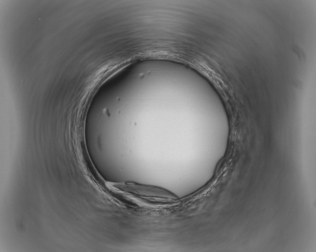 X0000112370193200908271325