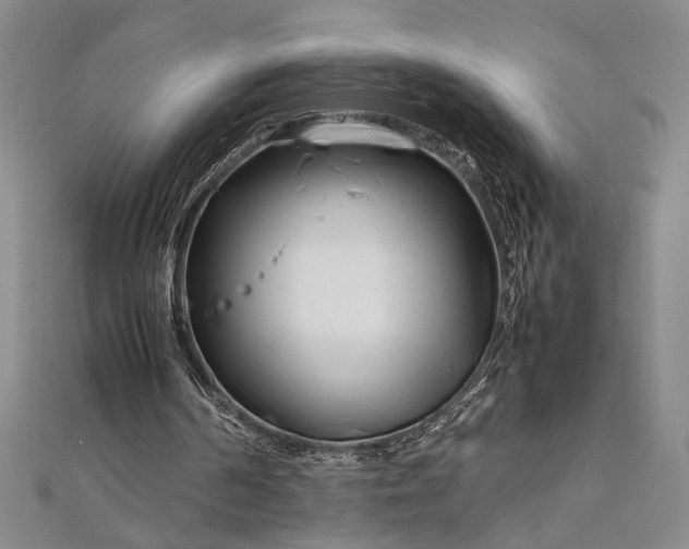 X0000112370194200908271325