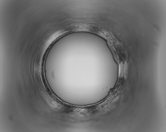 X0000112370195200908271325