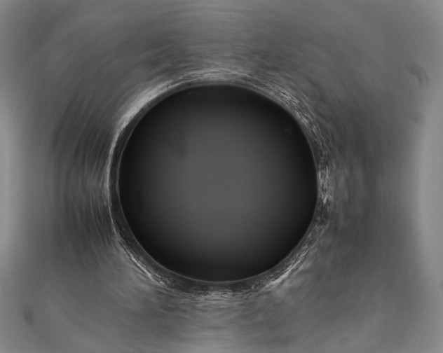 X0000112370196200908271325