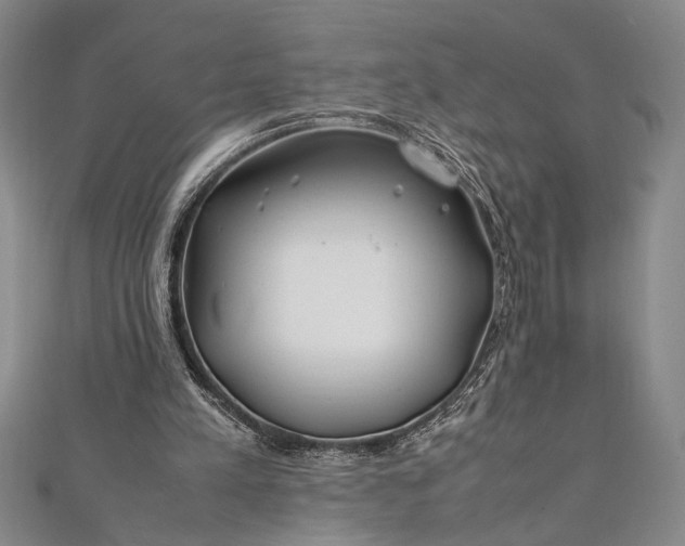 X0000112370197200908271325