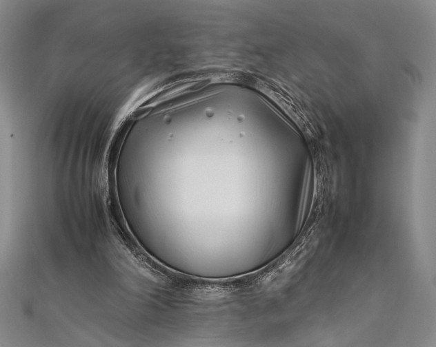 X0000112370198200908271325