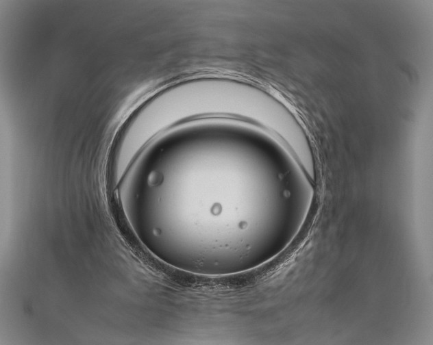 X0000112370199200908271325