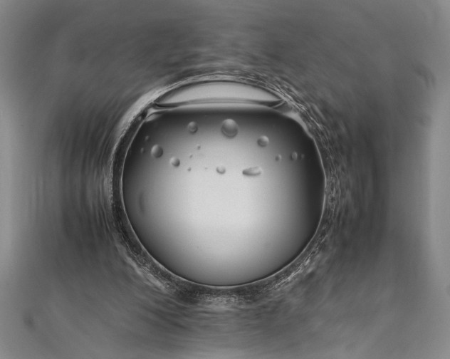 X0000112370200200908271325