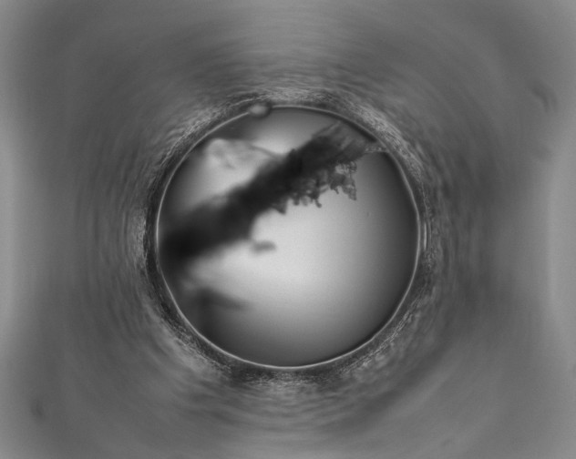 X0000112370201200908271325