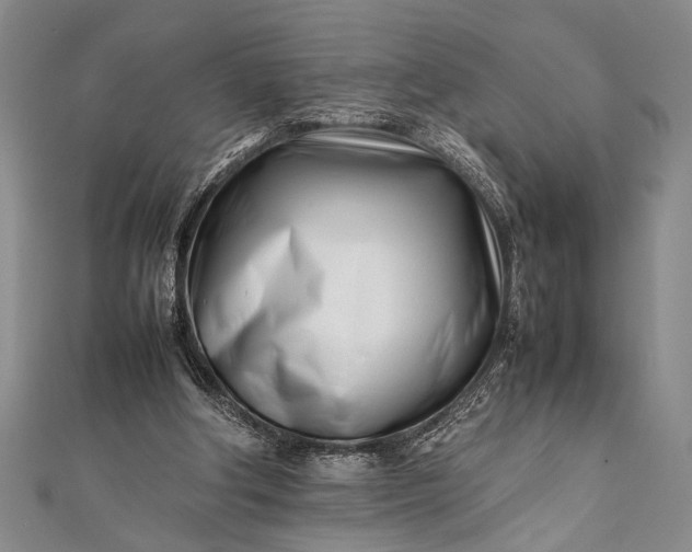 X0000112370202200908271325