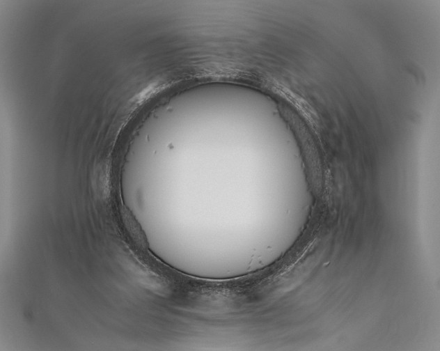 X0000112370203200908271325