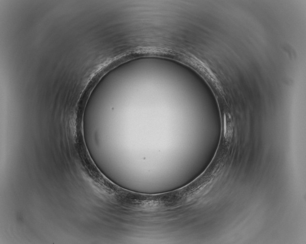 X0000112370204200908271325