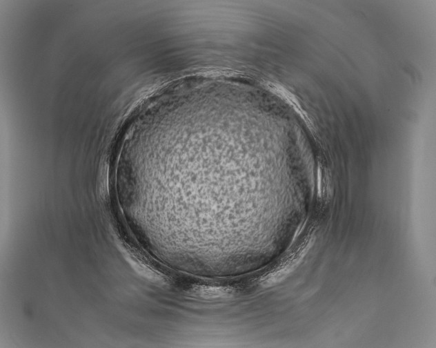 X0000112370205200908271325