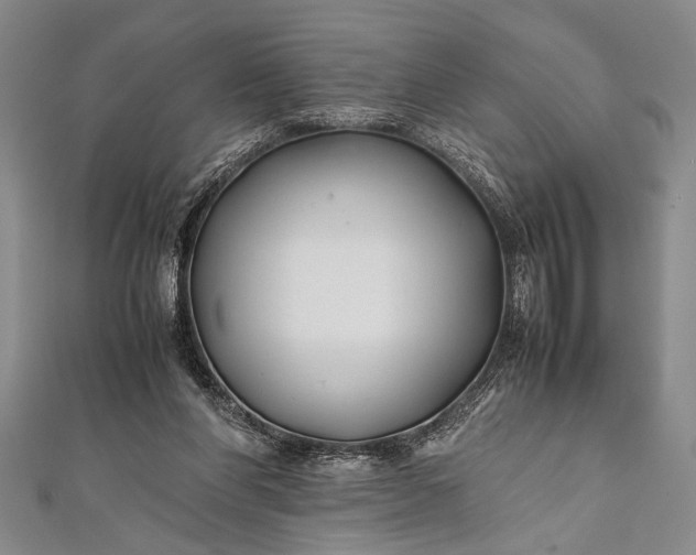 X0000112370206200908271325