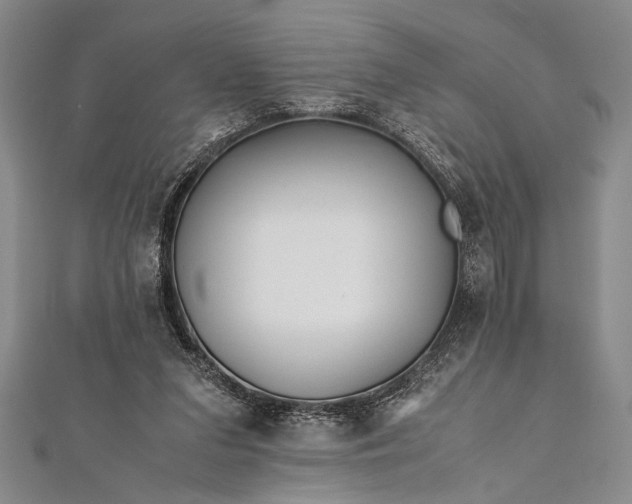 X0000112370207200908271325