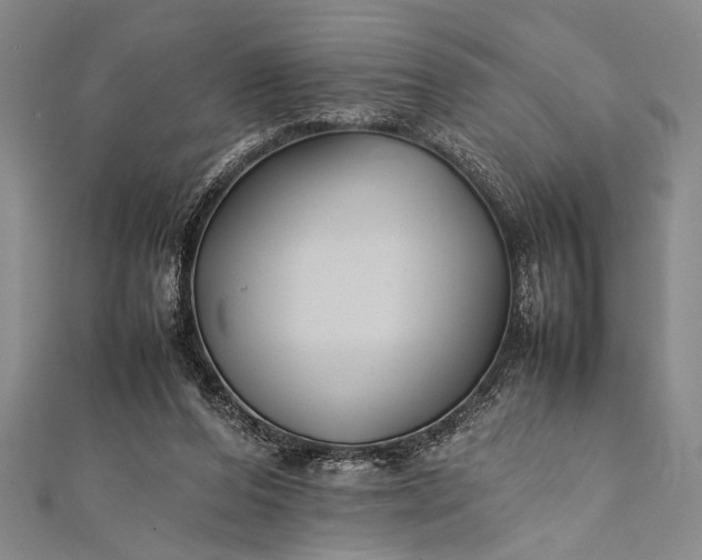 X0000112370208200908271325