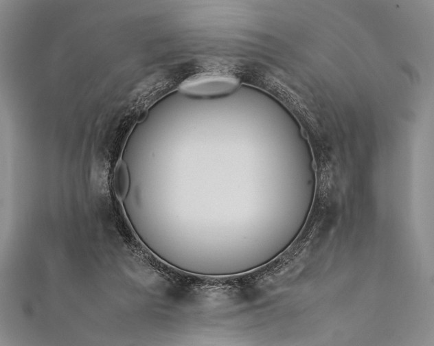 X0000112370209200908271325