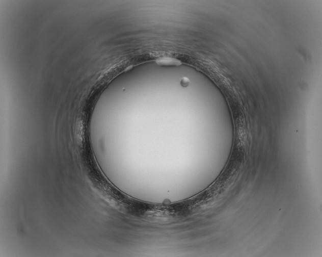 X0000112370211200908271325