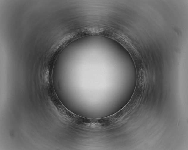 X0000112370212200908271325