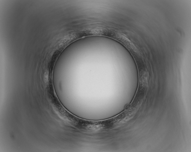 X0000112370213200908271325