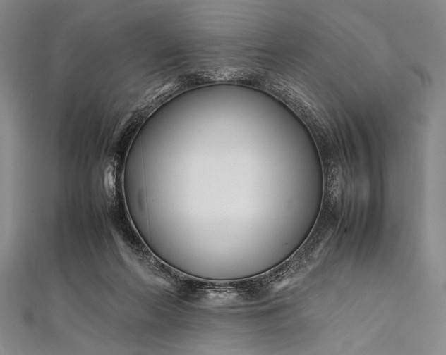 X0000112370214200908271325