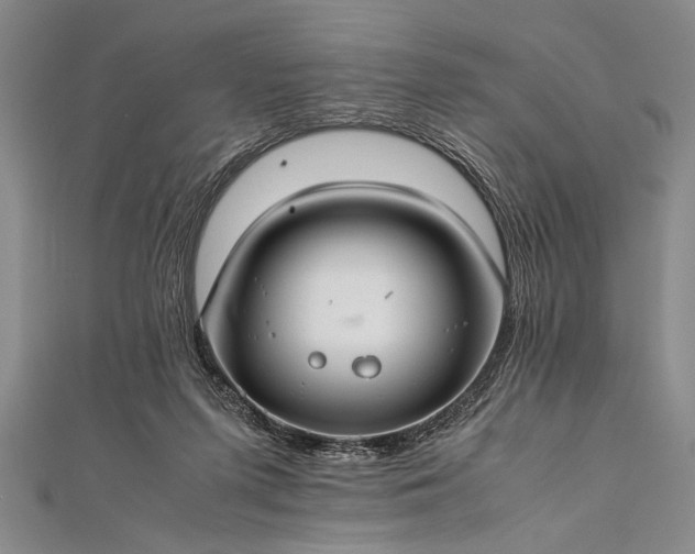 X0000112370215200908271325